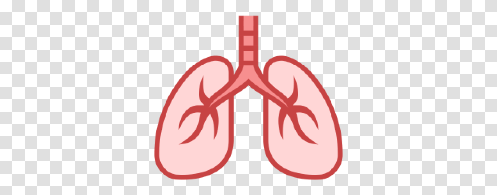 Lung And Vectors For Free Download Lungs Symbol, Cushion, Plant, Text, Seed Transparent Png