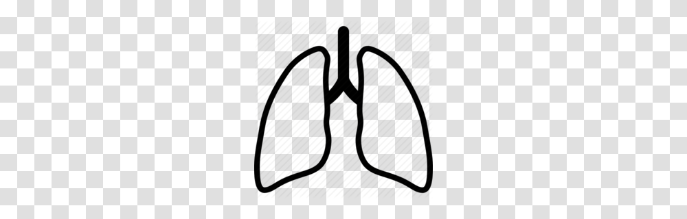 Lung Cancer Clipart, Label, Bow Transparent Png