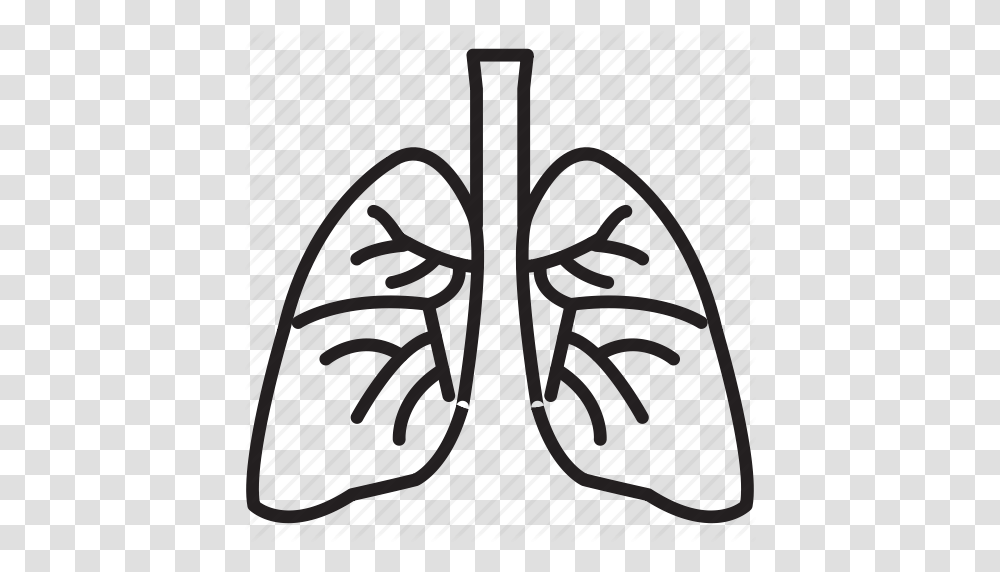 Lung Clipart Best, Reel, Plectrum, Electronics, Electric Fan Transparent Png