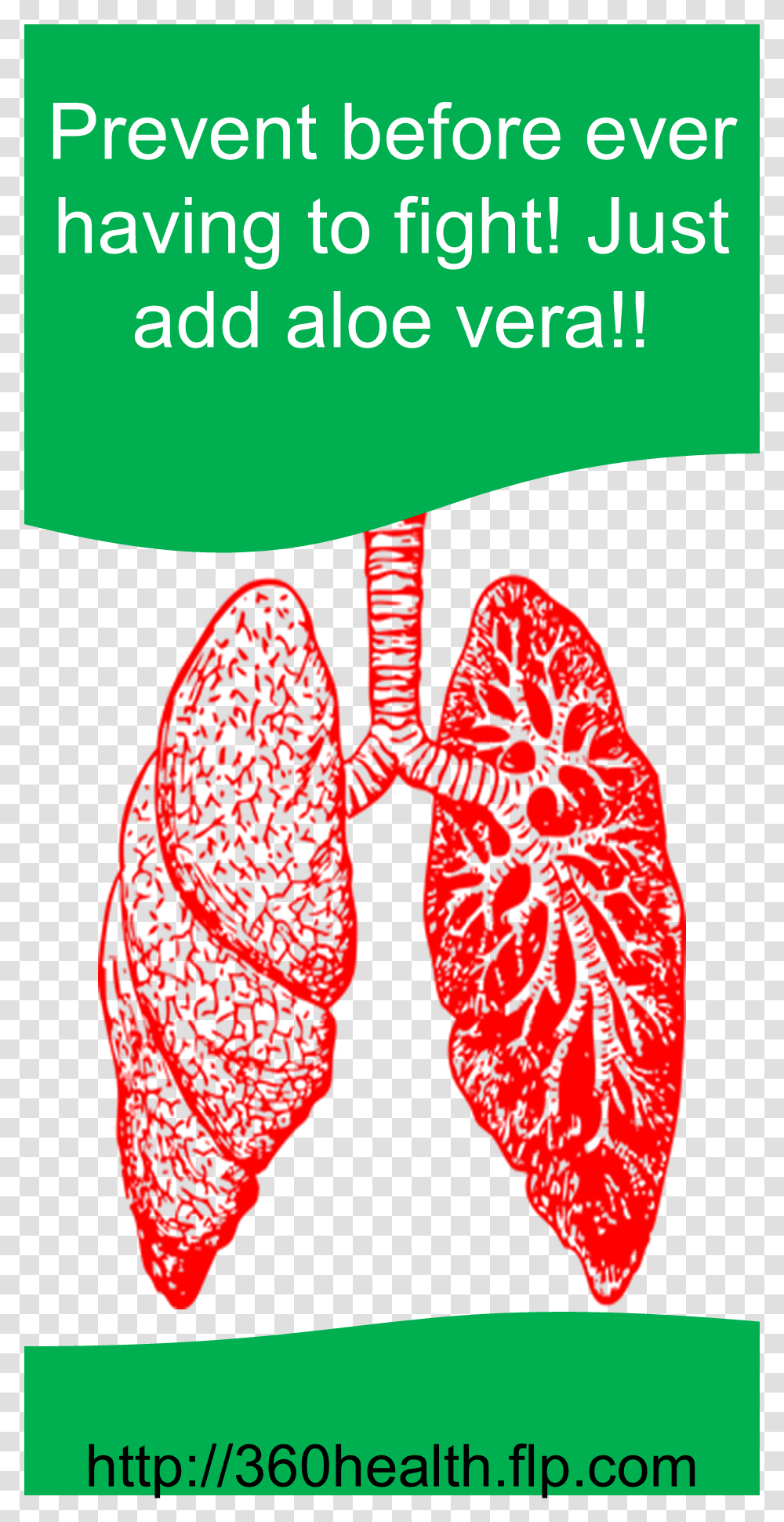 Lung Disease, Tie, Accessories, Necktie Transparent Png