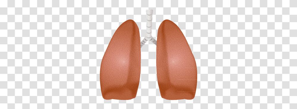 Lung Earrings, Clothing, Apparel, Person, Human Transparent Png