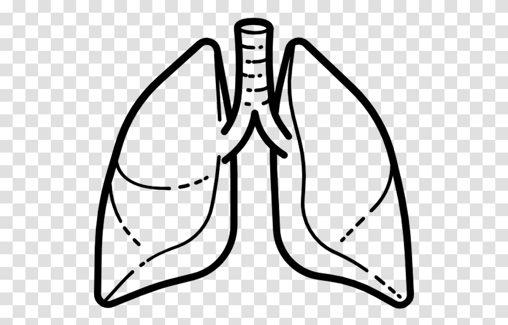 Lung Icon Vector, Gray, World Of Warcraft Transparent Png