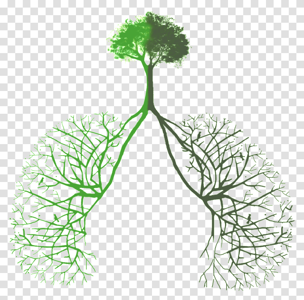 Lung Opening Made From Green Plants Tree Lungs, Leaf, Potted Plant, Vase, Jar Transparent Png