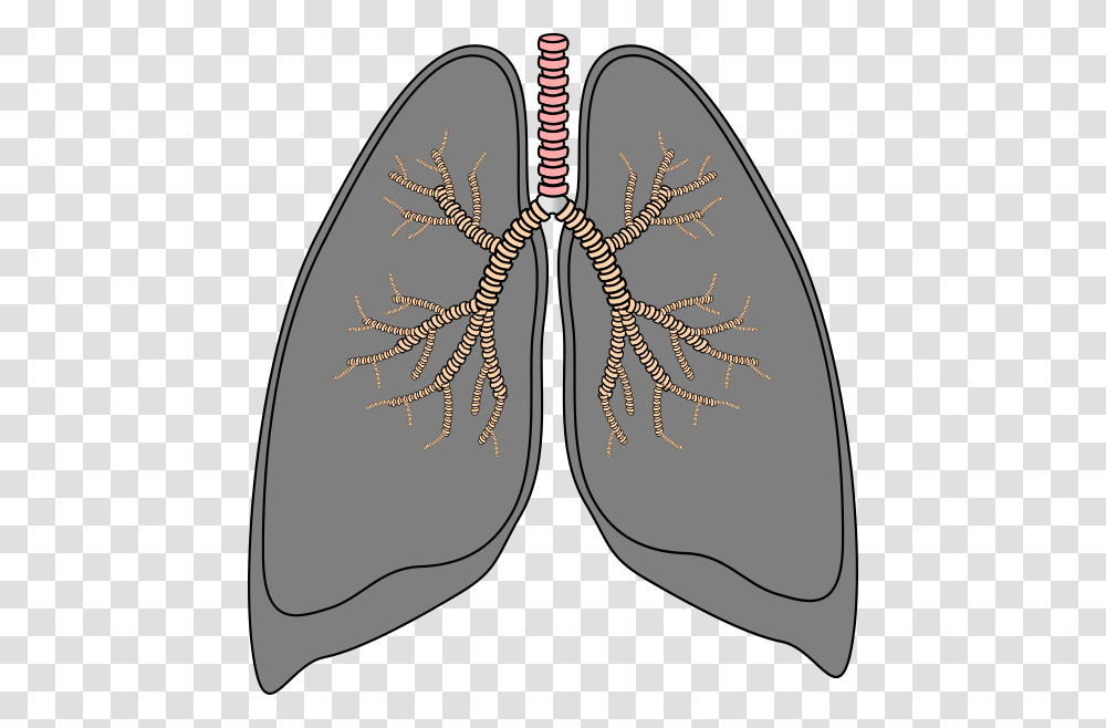 Lung, Person, Armor, Pattern Transparent Png