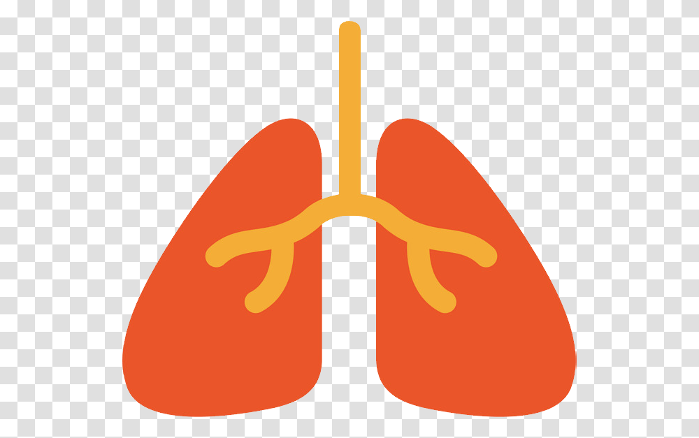 Lung, Person, Apparel, Flip-Flop Transparent Png