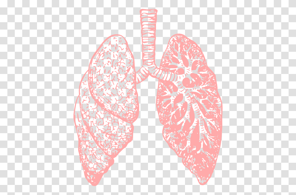 Lung, Person, Apparel, Flower Transparent Png