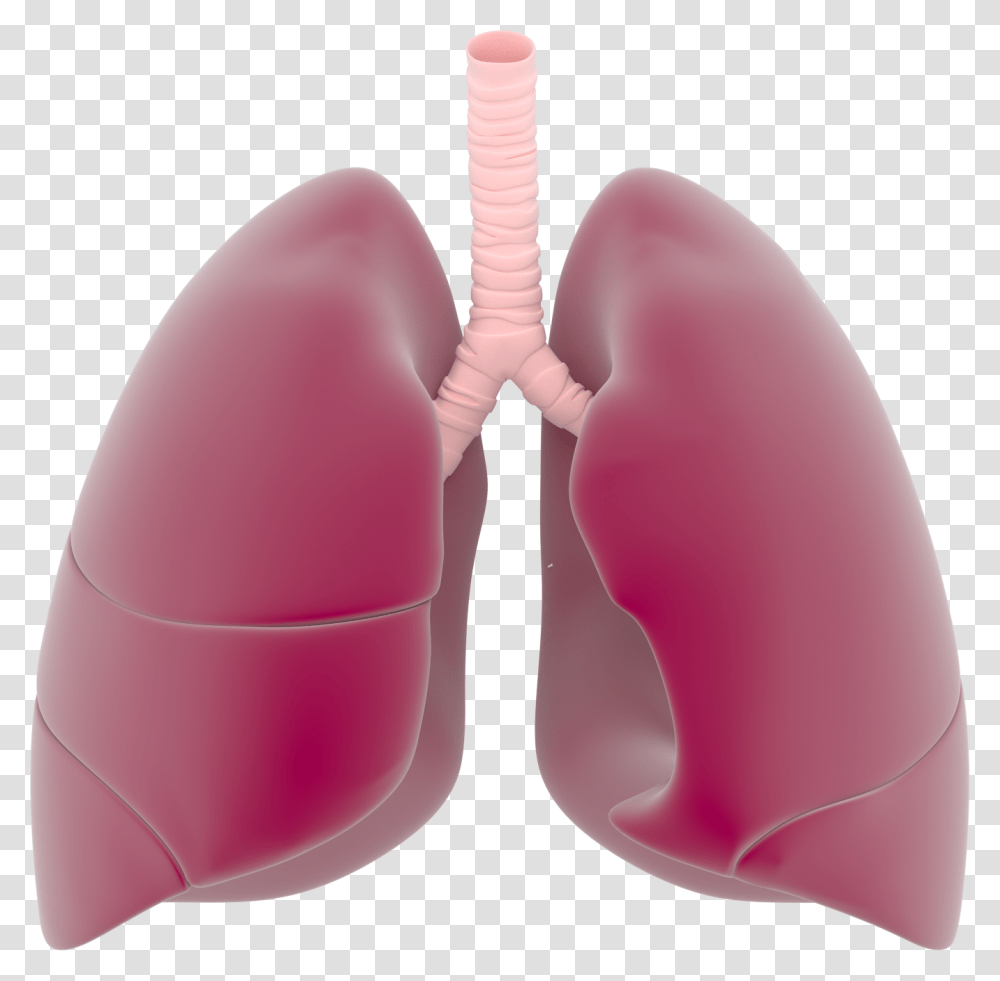 Lung, Person, Cushion, Apparel Transparent Png