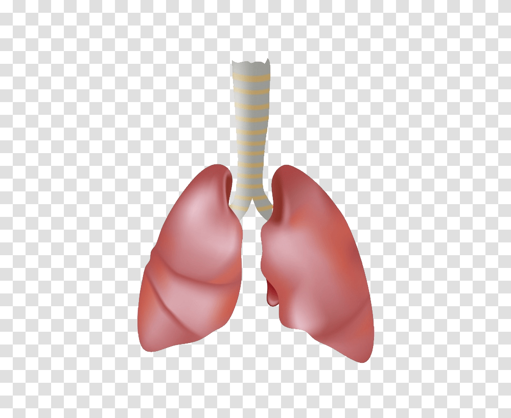 Lung, Person, Cutlery, Spoon, Pillow Transparent Png