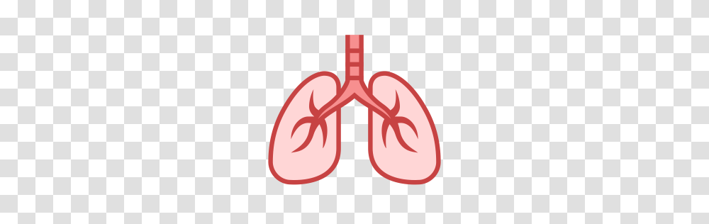 Lung, Person, Heart, Cushion, Anther Transparent Png