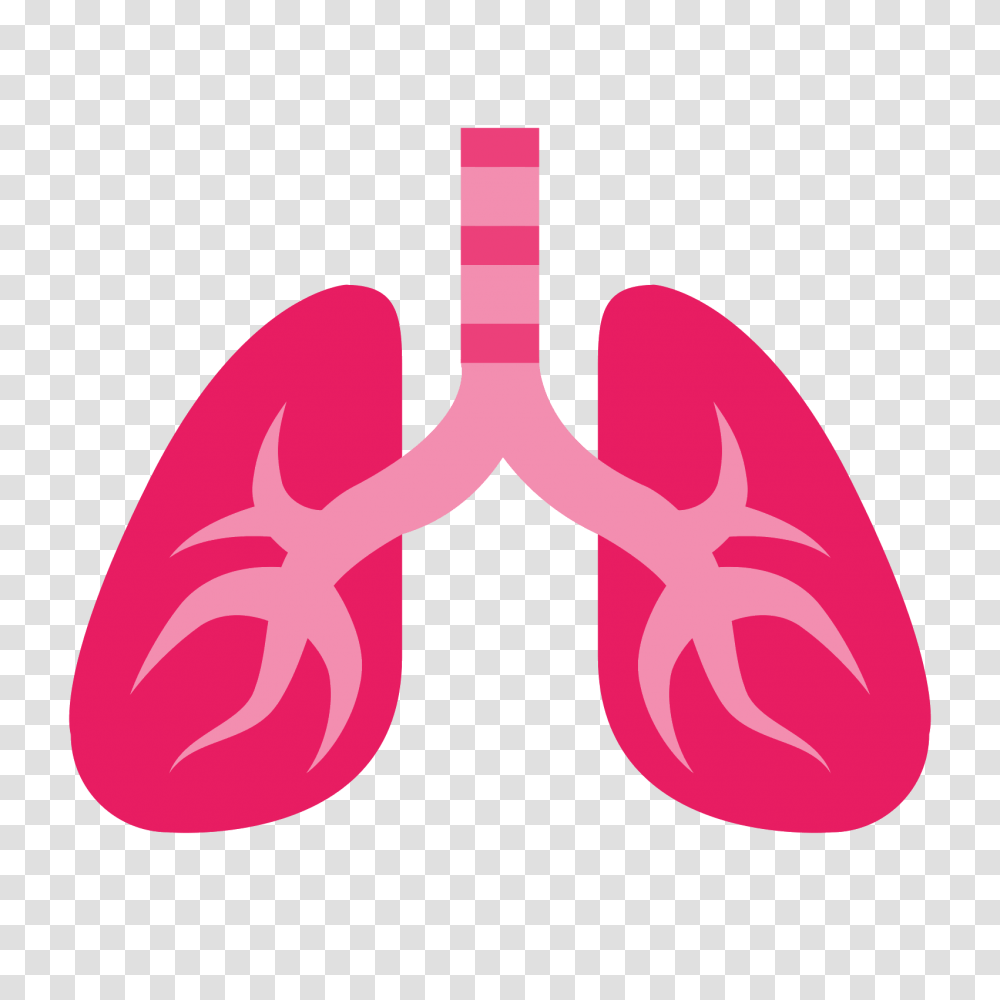 Lung, Person, Heart, Rubber Eraser, Mouth Transparent Png
