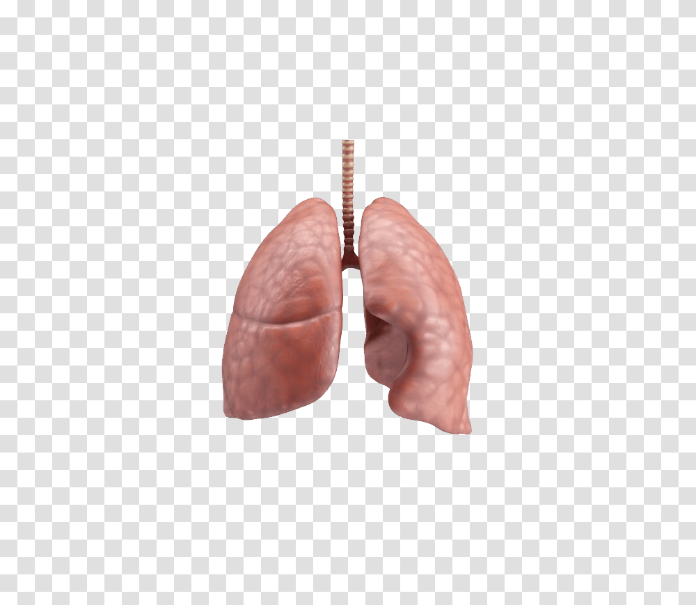 Lung, Person, Human, Hook, Heel Transparent Png