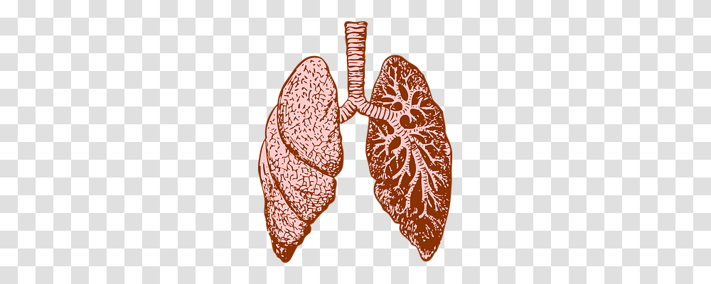Lung, Person, Pattern, Apparel Transparent Png