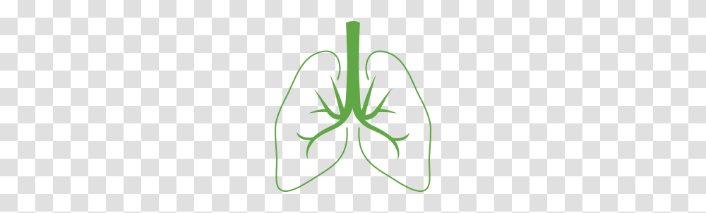 Lung, Person, Plant, Hook Transparent Png