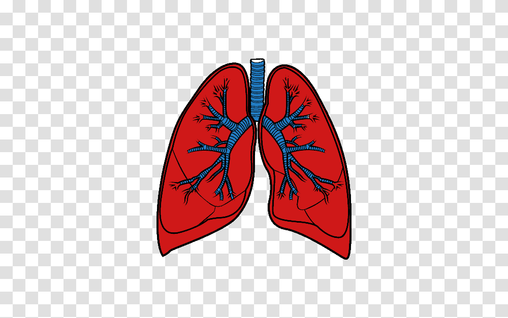 Lung, Person, Plectrum, Heart, Tie Transparent Png