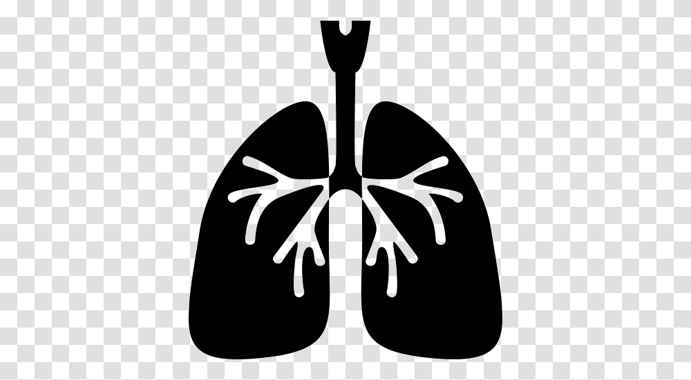 Lung, Person, Stencil, Leisure Activities Transparent Png