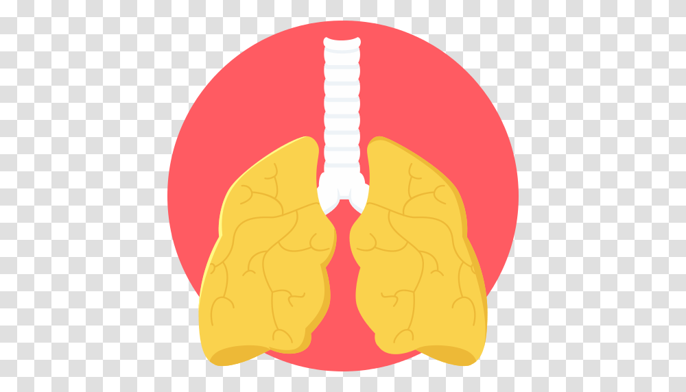 Lung, Person, Sweets, Food, Teeth Transparent Png
