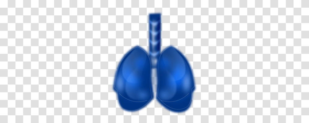 Lung Respiratory Tract Human Body Download Rib Cage Free, Tool, Shovel Transparent Png