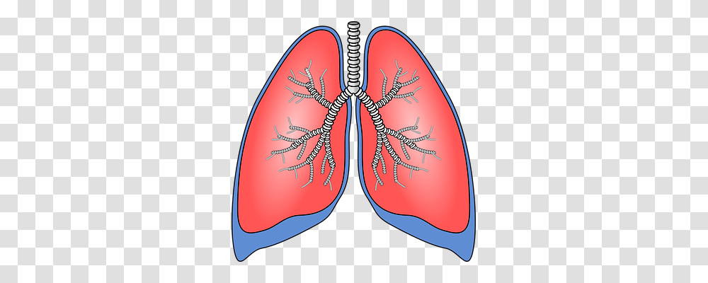 Lungs Technology, Pattern, Veins, X-Ray Transparent Png