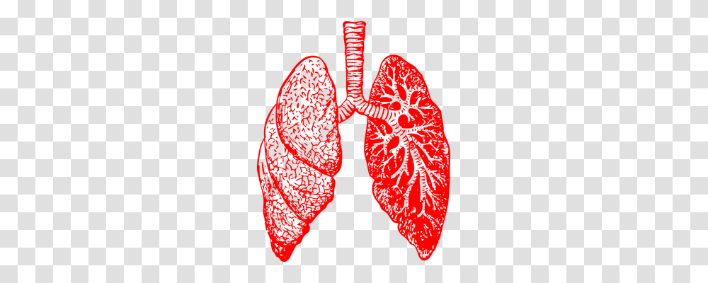 Lungs Clothing, Apparel, Footwear, Heart Transparent Png