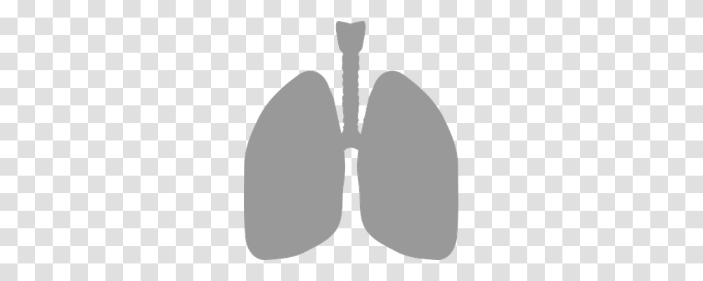 Lungs Technology, Lamp Transparent Png