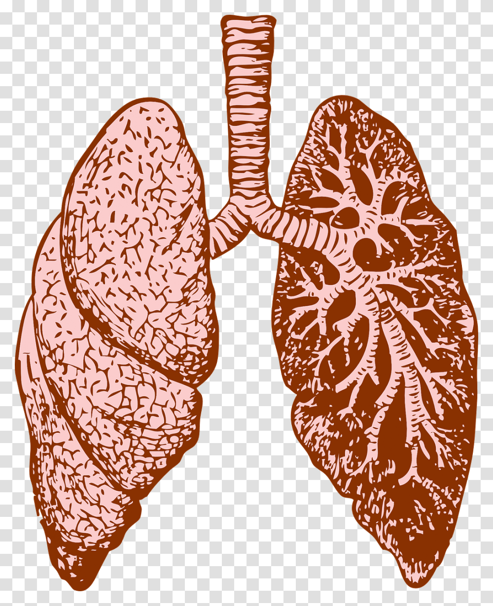 Lungs Fractales En El Cuerpo Humano, Apparel, Heart, Pattern Transparent Png