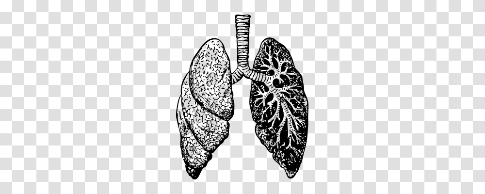 Lungs Technology, Gray, World Of Warcraft Transparent Png