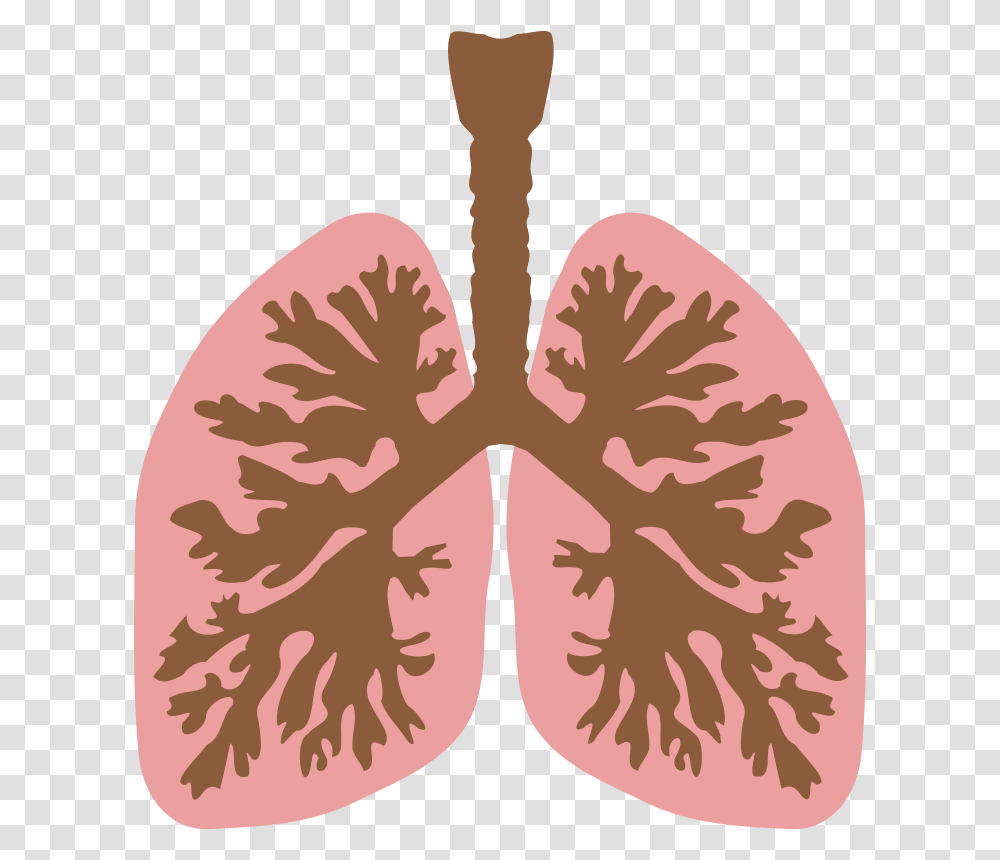 Lungs And Bronchus, Technology, Purple, Rug, Plant Transparent Png