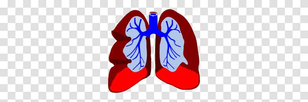 Lungs Clip Art For Web, Modern Art, Apparel Transparent Png