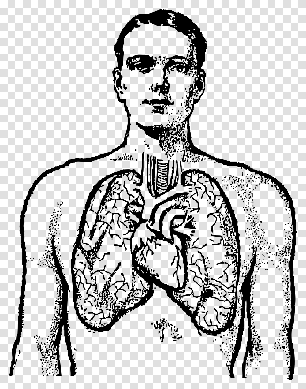 Lungs Clipart Black And White, Gray, World Of Warcraft Transparent Png