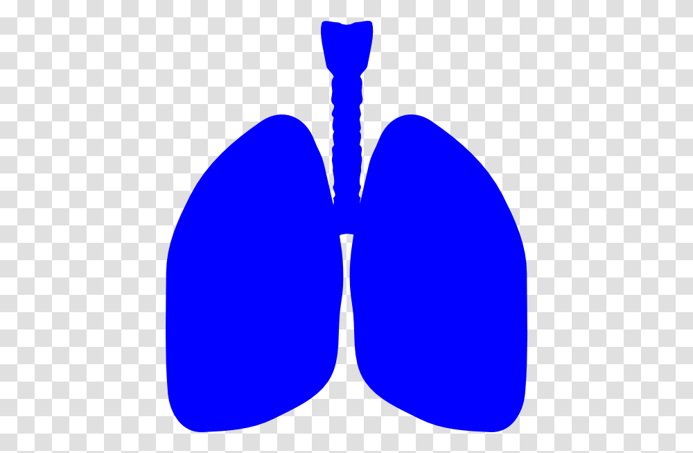 Lungs Clipart Blue, Heart Transparent Png