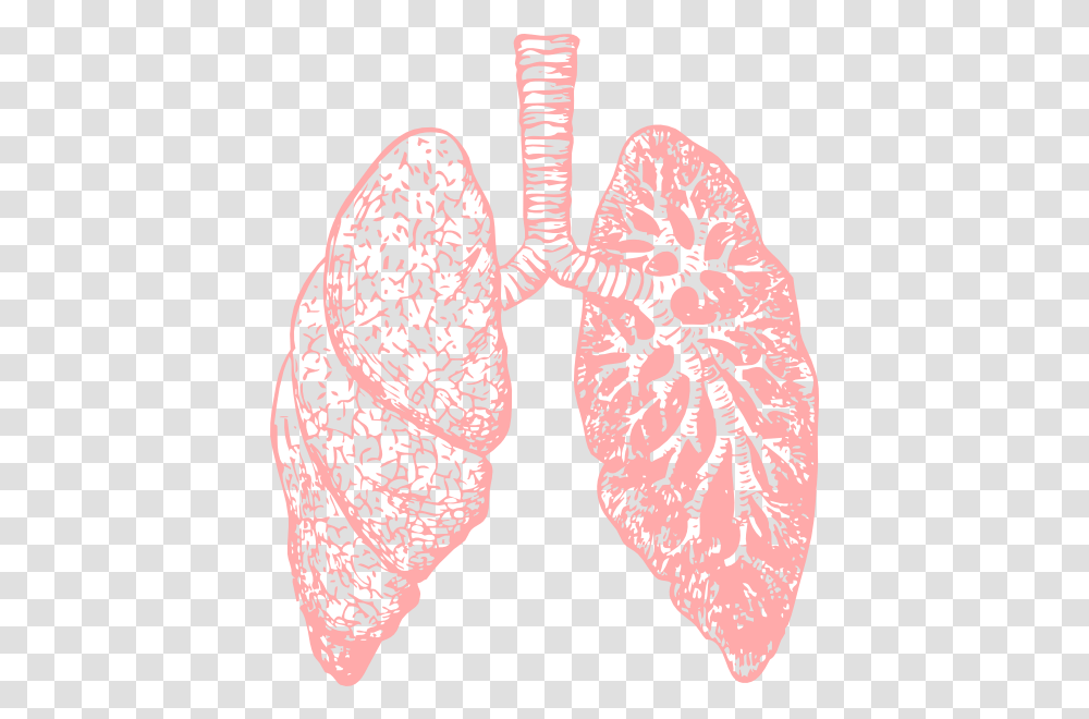 Lungs Clipart Image Lung, Heart, Plant, Flower, Blossom Transparent Png