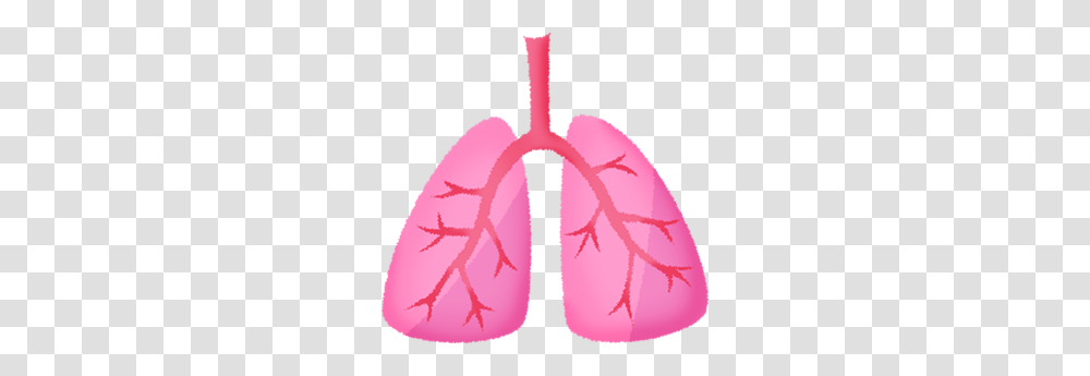 Lungs Free Clipart Illustrations, Plant, Animal, Purple Transparent Png