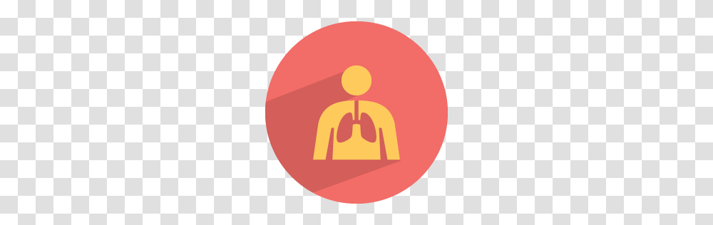 Lungs Icon Medical Health Iconset Graphicloads, Logo, Trademark Transparent Png