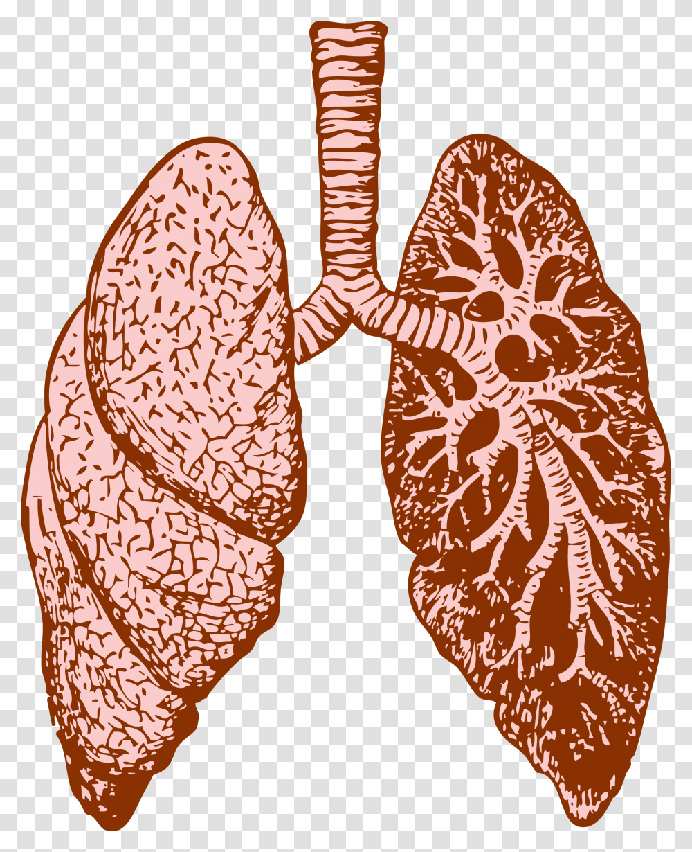 Lungs Icons, Pattern, Heart, Paisley Transparent Png