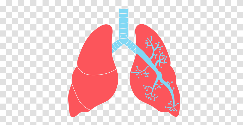 Lungs Images Lungs, Plot, Heart Transparent Png