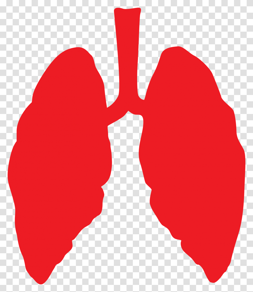 Lungs Lung Health Health Lung, Person, Human, Mouth, Lip Transparent Png