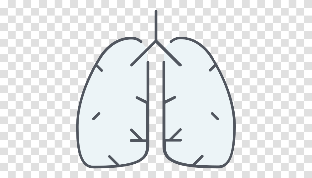 Lungs Lung Icon Circle, Steamer Transparent Png
