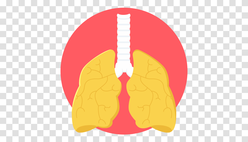 Lungs Lung Icon Lung, Sweets, Food, Teeth, Mouth Transparent Png