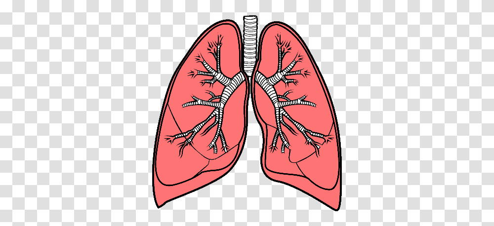 Lungs Lungs, Clothing, Apparel, Footwear, Shoe Transparent Png