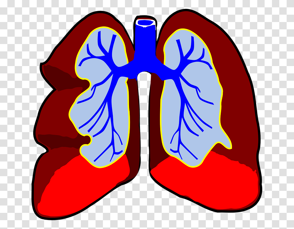 Lungs Organ Biology Respiratory System Body Air Lung With Cancer Clipart, Modern Art, Hand Transparent Png