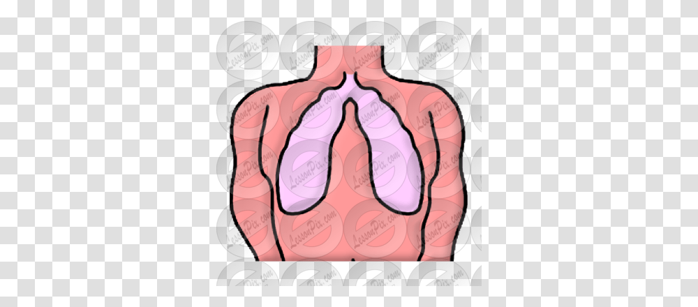 Lungs Picture For Classroom Therapy Use, Hand, Worship, Prayer Transparent Png
