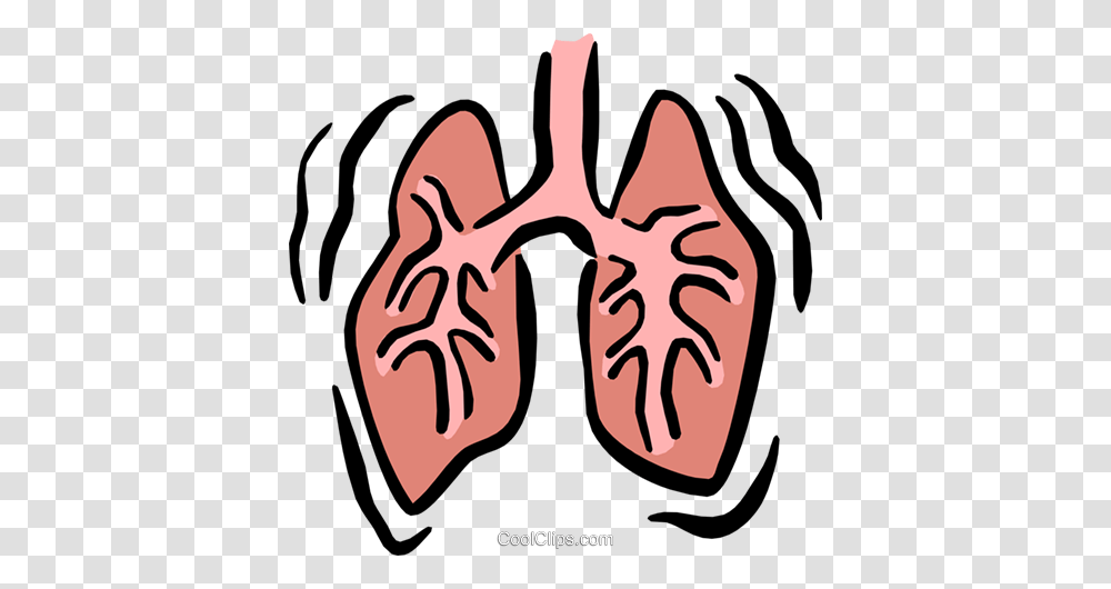 Lungs Royalty Free Vector Clip Art Illustration, Mouth, Word, Teeth Transparent Png