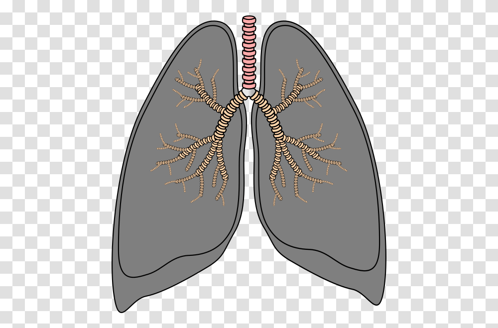 Lungs Smoking Lungs Background, Armor, Plant, Pattern, Ornament Transparent Png