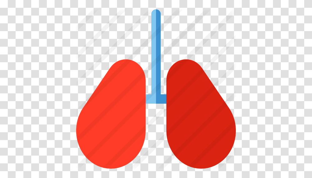 Lungs, Sponge, Cushion, Ice Pop, Rubber Eraser Transparent Png