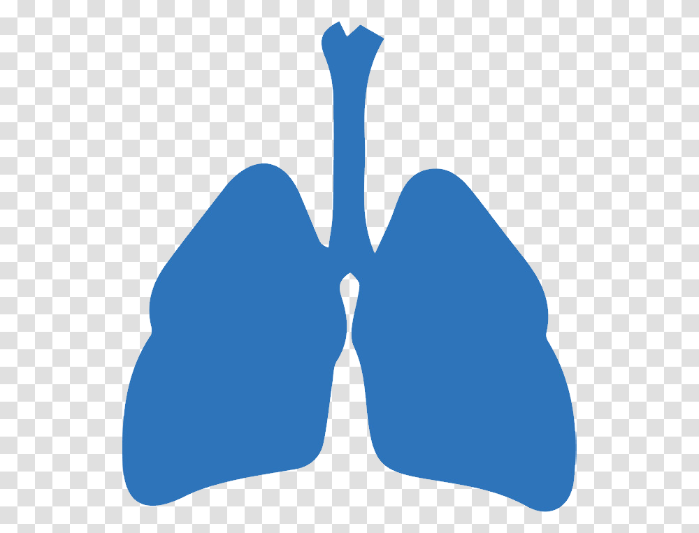 Lungs Svg Respiratory System, Baseball Cap, Hat, Apparel Transparent Png