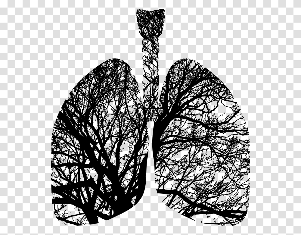 Lungs Trees, Gray, World Of Warcraft Transparent Png