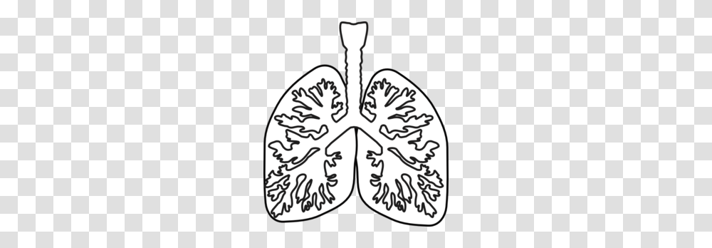Lungs Vector Clipart, Heart, Plant, Stencil Transparent Png