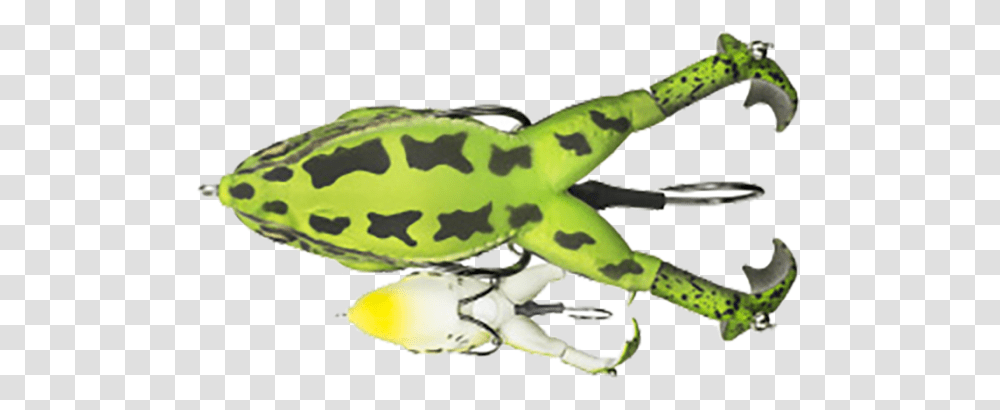 Lunkerhunt Prop Frog Leopard, Wildlife, Animal, Amphibian, Tadpole Transparent Png