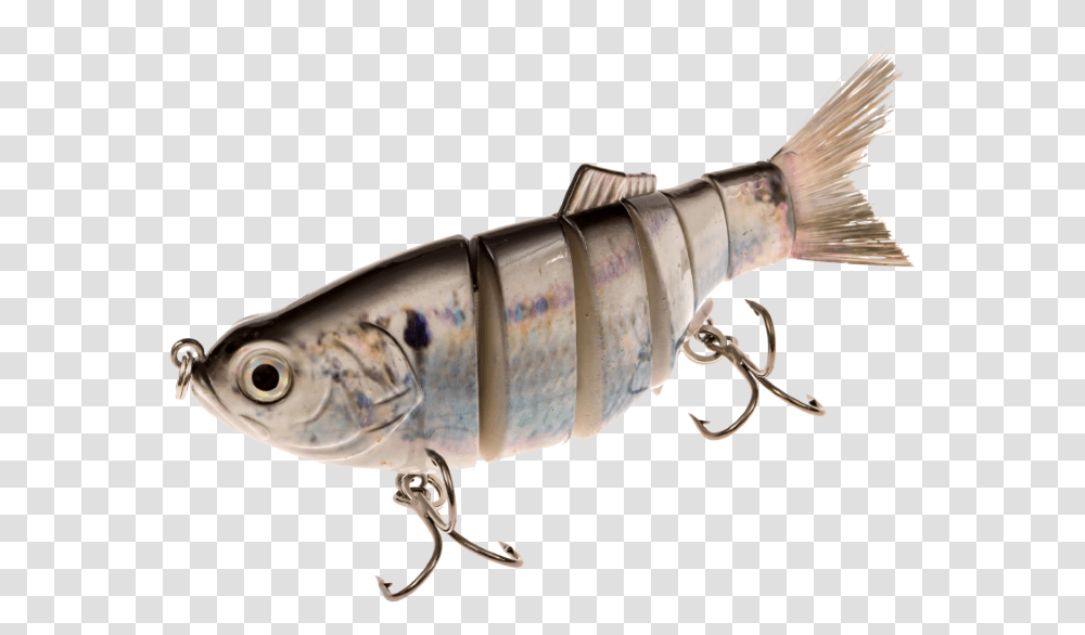 Lure Real Fish, Fishing Lure, Bait, Animal Transparent Png