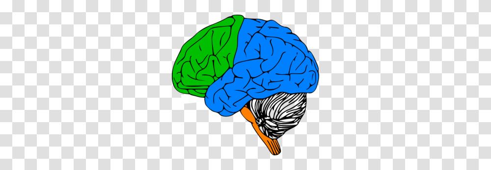 Luria Brain Clip Art, Plant, Hand, Food, Cabbage Transparent Png